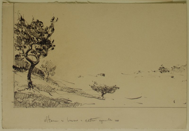 1930 ca. - Paesaggio con alberi a sinistra